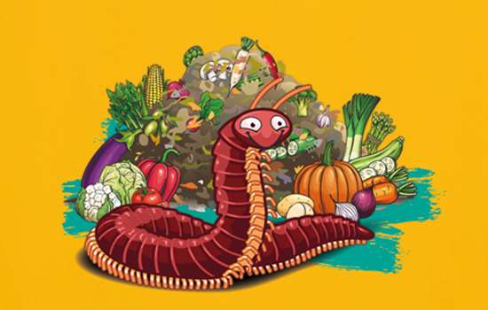 An illustration of a millipede on a yellow background with a compost heap of vegetables.